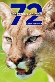 72 Dangerous Animals: Latin America (Türkçe Dublaj)